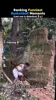 最搞笑篮球时刻排名 🏀😂
