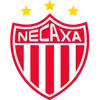 内卡萨女足